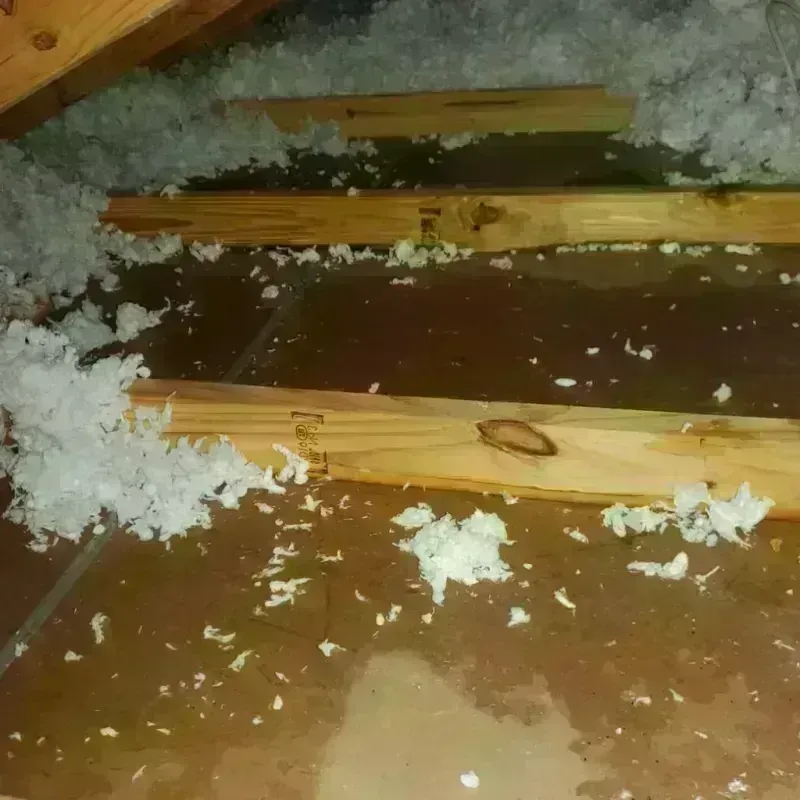 Attic Water Damage in Eastover, NC